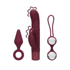 Sex Toy Kit for Her (USB Rechargeable)